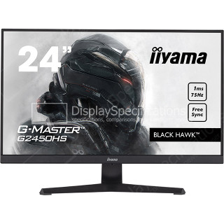 Iiyama G-Master G2450HS-B1